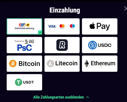 Einzahlungsmethoden im Winbeast Online Casino